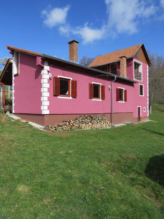 Planinska Kuca Mitke Prolesje Exterior foto